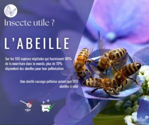 Insecte utile