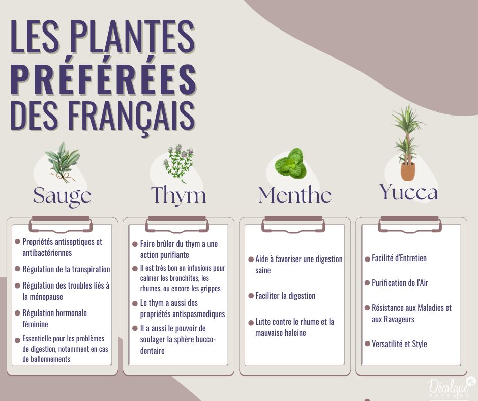 Plantes préférées des français