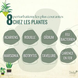 Perturbations chez les plantes